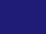 Robison-Anton Polyester - 5736 Fire Blue